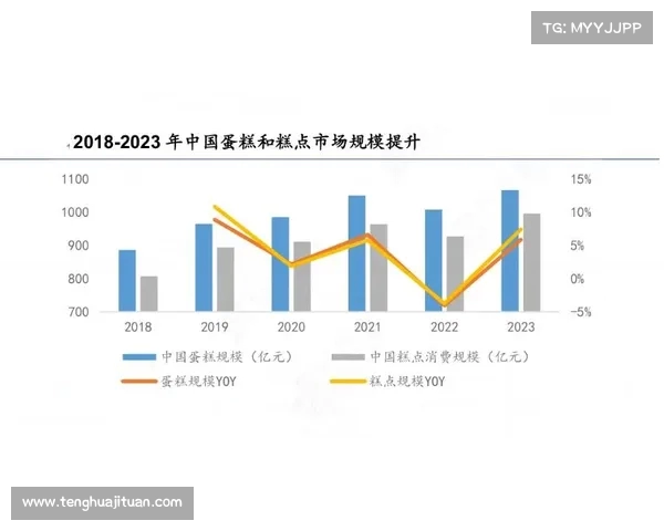 法甲俱乐部球队分析与未来发展趋势探讨