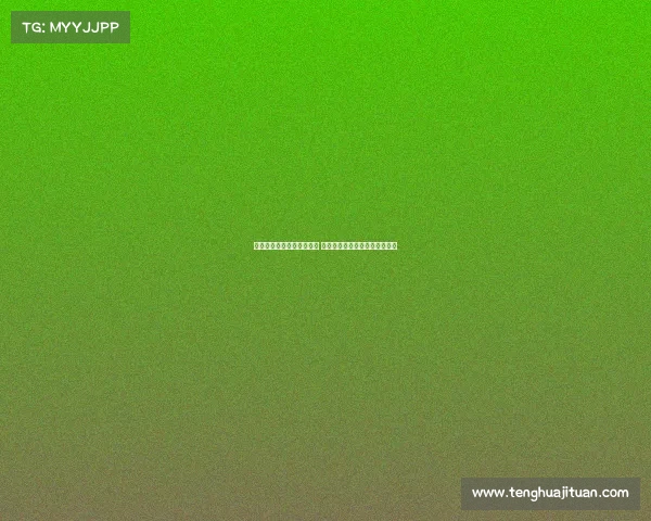 西甲精彩赛事直播全程呈现 足球迷必看比赛和实时比分更新