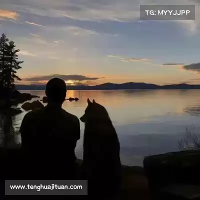 黄婧茵